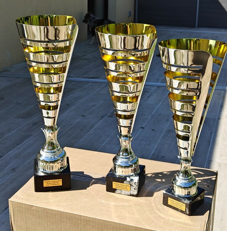 Coupes offertes par l'ASPC GYMSPORT pour la finale nationale du Trophée Fédéral Ensembles GR 2024